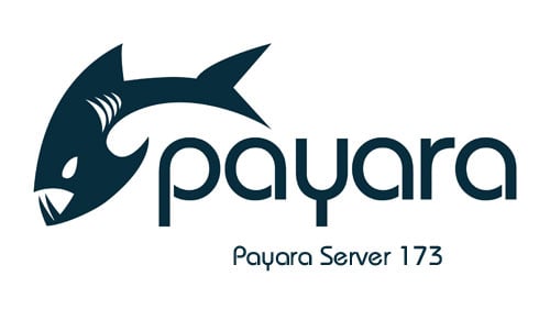 Payara-Server-173-small.jpg