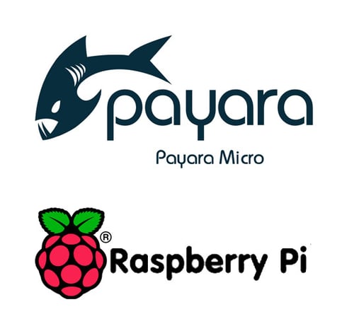 Payara-Micro-on-RaspberryPi.jpg
