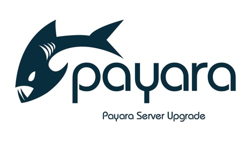Payara-Server-Upgrade.jpg