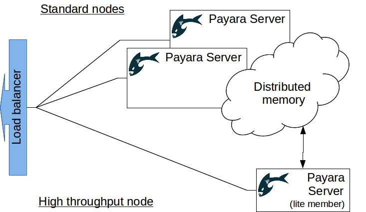 diagram-lite-nodes.jpg