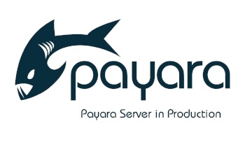small-Payara-Server-in-Production-275818-edited.jpg