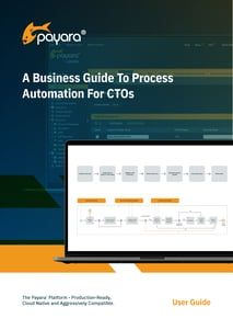 A Business Guide To Process Automation For CTOs_Page_01
