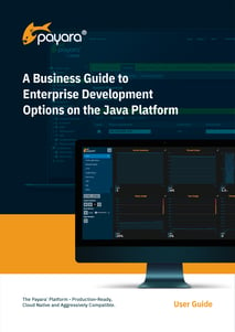 A Business Guide to Enterprise Development Options On_Page_01-1