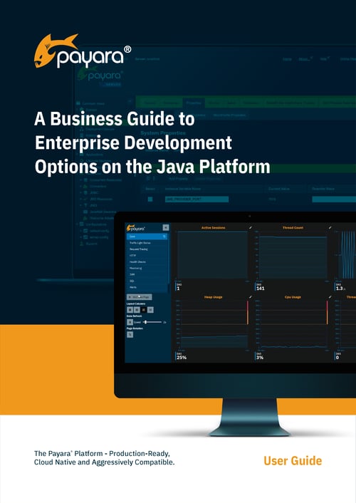 A Business Guide to Enterprise Development Options on the Java Platform
