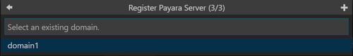 Register Payara Server - Domain