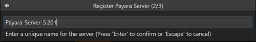 Register Payara Server - Name
