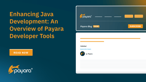 Enhancing Java Development: An Overview of Payara Developer Tools