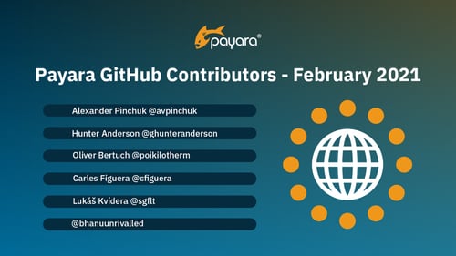 GitHub contributors February 2021 