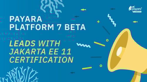 Discover Payara Platform Community 7 Beta, the first fully Jakarta EE 11 certified runtime across all profiles. Enterprise support coming soon.