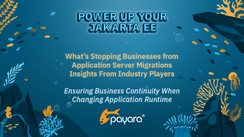 Ensuring Business Continuity When Changing Application Runtime Blog