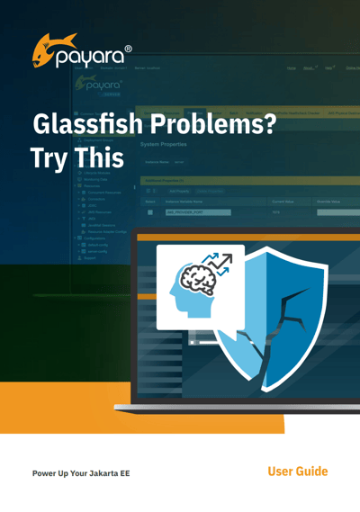 GlassFish Problems - Try This from Payara Services