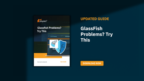 GlassFish Problems Try This Updated Guide