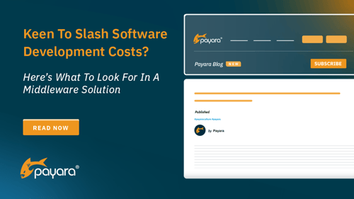 Keen To Slash Software Development Costs? Here’s What To Look For In A Middleware Solution