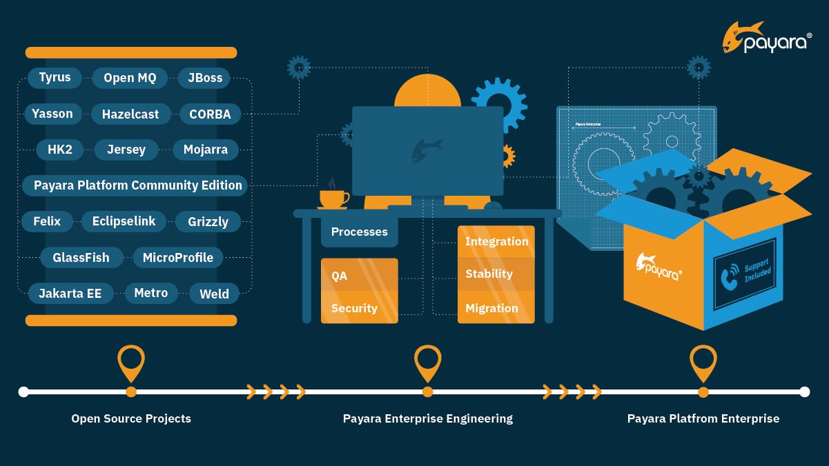 How Payara is Made Infographic