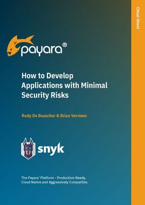 How-to-Develop-Applications-with-Minimal-Security-Risks
