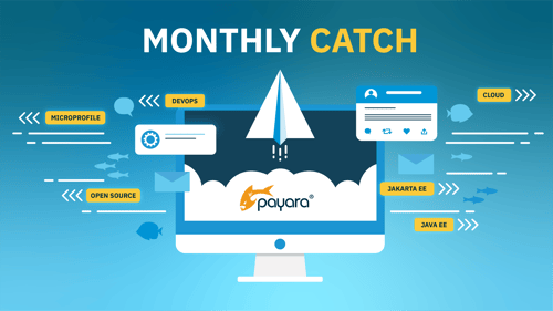 Text 'Monthly Catch' Payara Logo on a laptop