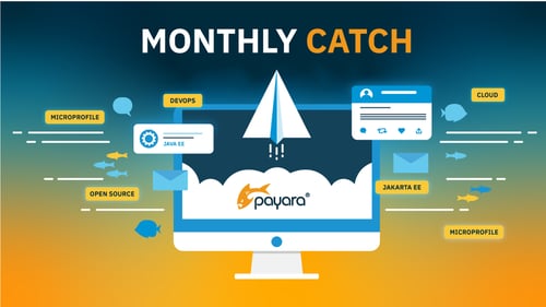 Monthly Catch image with Payara logo on laptop and Payara branded graphics