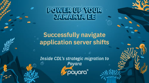 Navigate Server Upgrades: Inside CDL’s strategic migration to Payara Blog