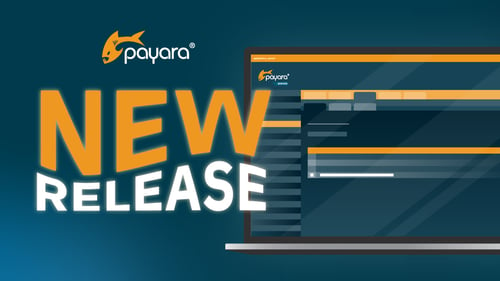 What’s New In The Payara Platform February 2025 Release?