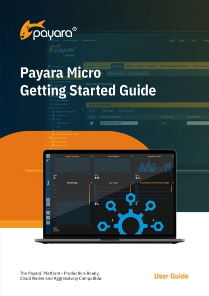 Payara Micro Getting Started Guide_Page_01