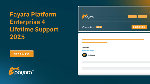 Payara Platform Enterprise 4 Lifetime Support 2025