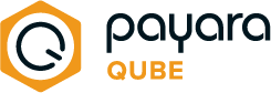 Payara Qube Logo