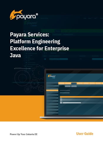 Payara Services Platform Engineering Excellence for Enterprise Java_Cover-1