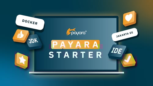 Payara Starter