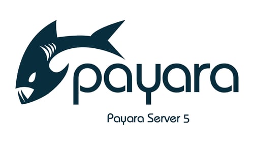 Payara-Server-5.jpg