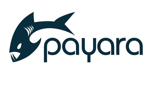 Payara-Server-logo-small.jpg