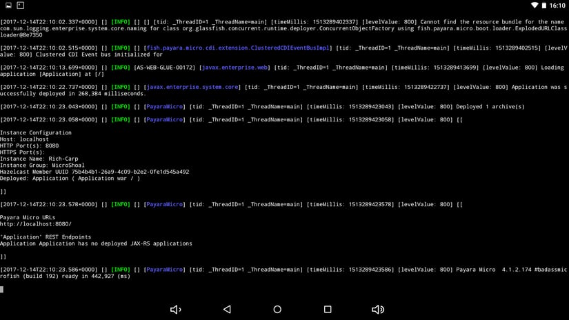 9 - Payara Micro on Android.png
