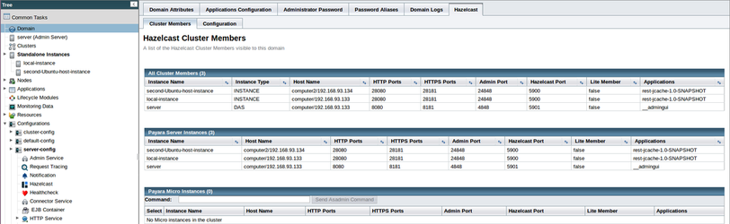 12 - payara basics - creating a simple cluster.png