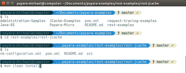 13 - payara basics - creating a simple cluster.png