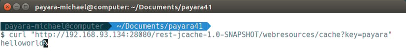 17 - payara basics - creating a simple cluster.png