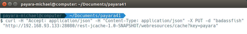18 - payara basics - creating a simple cluster.png