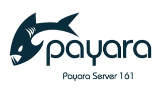 Payara Server 161
