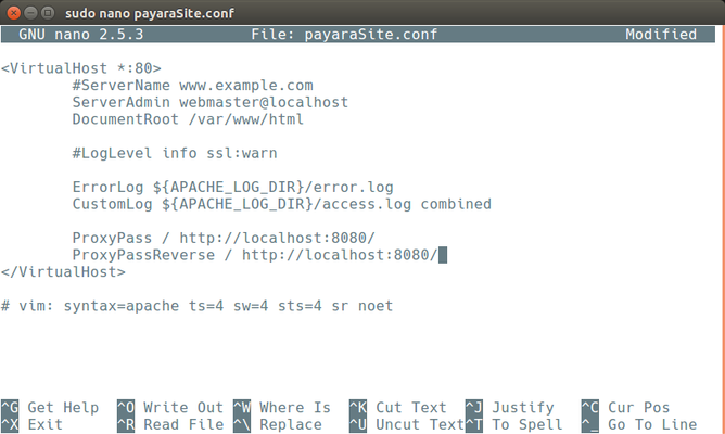 apache payara blog 4.png