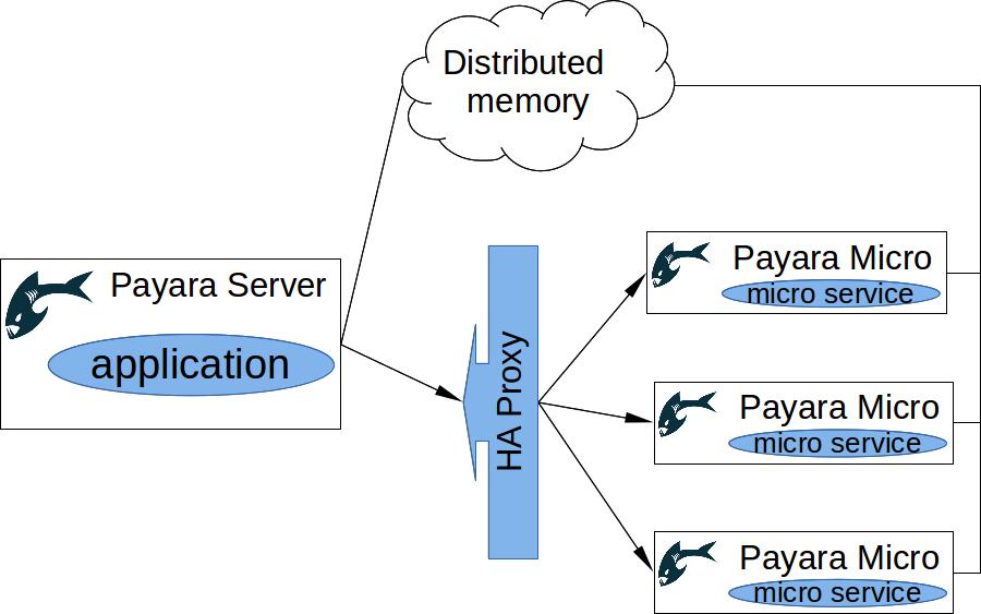 Flexible Clustering with Payara Server
