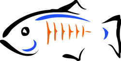 glassfish_logo_transparent_resized.jpg glassfish_logo_transparent_resized.jpg
