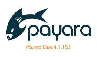 payara-blue-medium-logo2_large.jpg