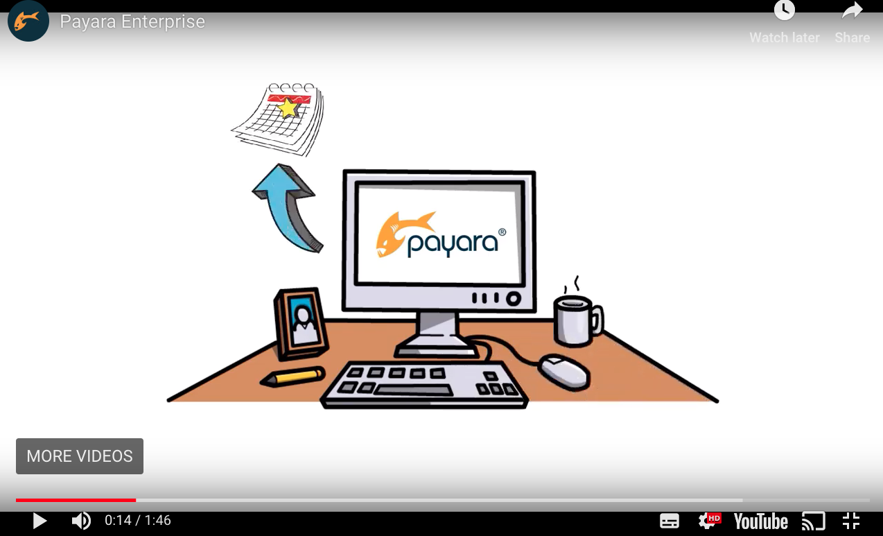 Payara Enterprise support video 
