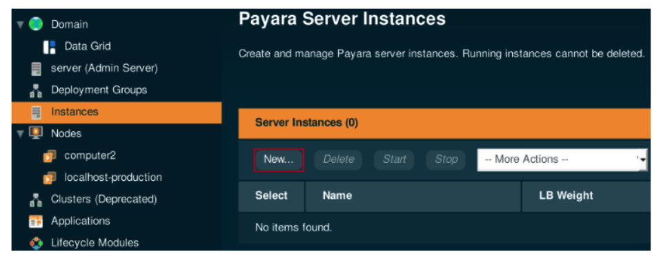 New Payara Server Instance