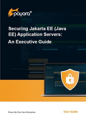 Securing Jakarta EE (Java EE) Application Servers-An Executive Guide Cover