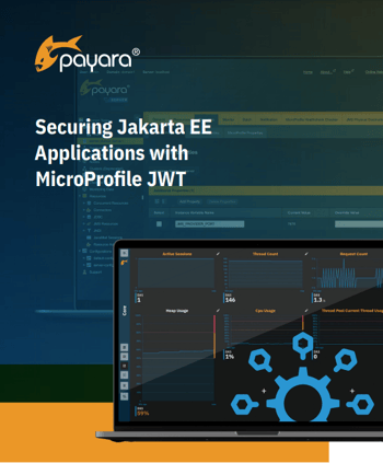 Securing Jakarta EE Apps with MicroProfile JWT Guide Thumbnail