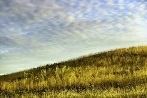 Magic hour on a fall afternoon Hillside with tall grass and other prairie plants in swathes of light and shadow, with pattern of high clouds glowing softly in blue sky, near sunset in mid October