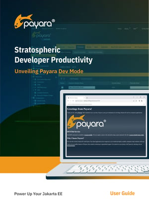 Stratospheric Developer Productivity_Cover-1