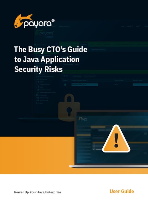 The Busy CTO's Guide to Java Application Security Risks