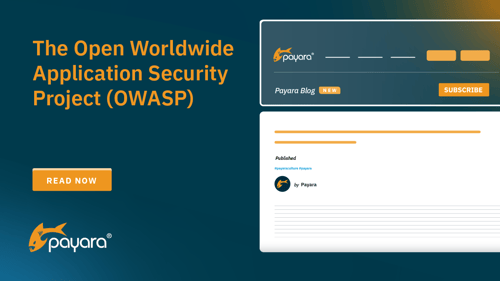 OWASP Security Principles for CISOs, CSOs, AppSec & DevSecOps Teams Blog