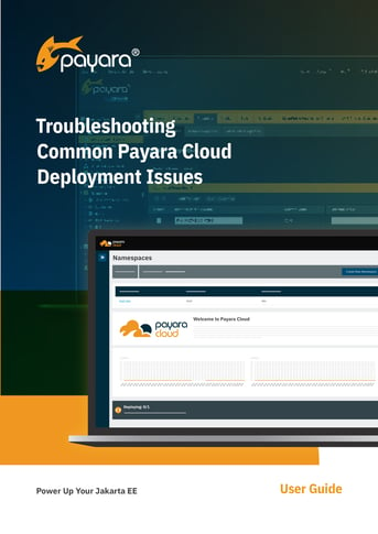 Troubleshooting Common Payara Cloud Deployment Issues
