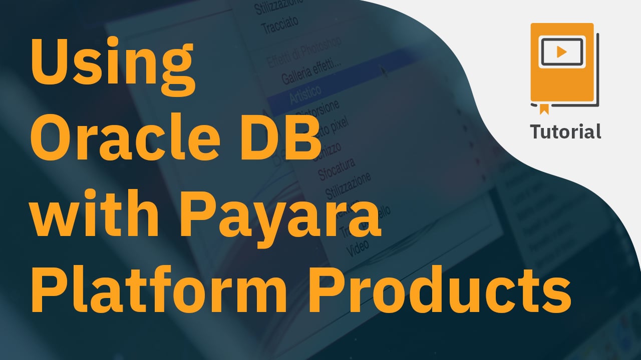 Using Oracle DB with Payara Platform Products